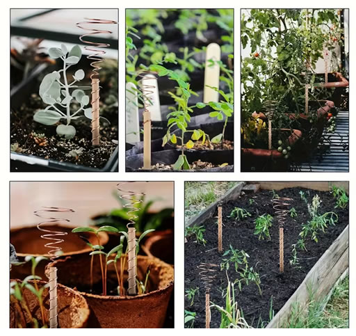 Elektrokultur Anbauformen