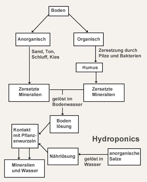 Boden Vergleich Hydroponik