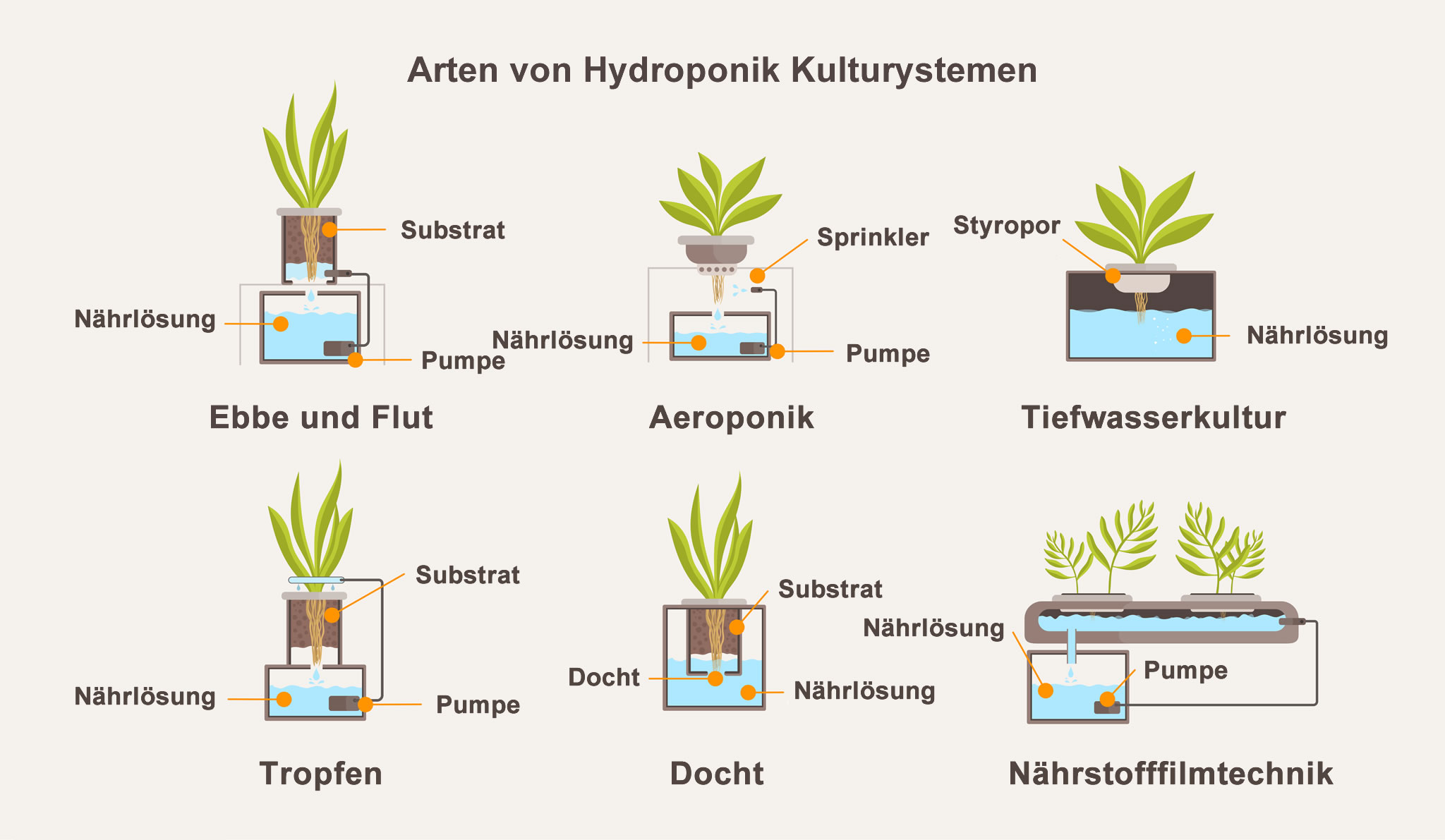 sechs grundlegende Hydroponik-Systeme