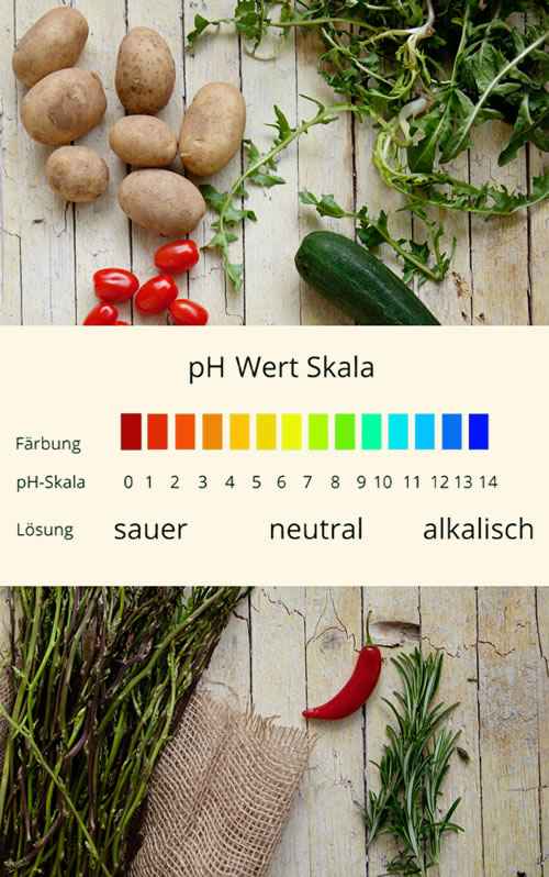 pH Wert Skala